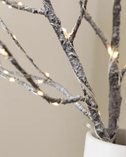 Lit Twig Branches