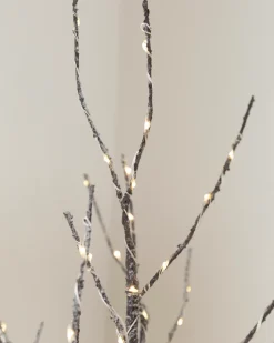 Lit Twig Branches