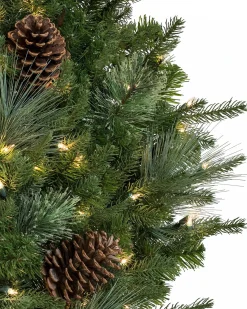 Mixed Evergreen Foliage