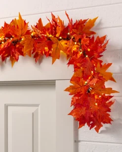 Outdoor Autumn Maple Foliage