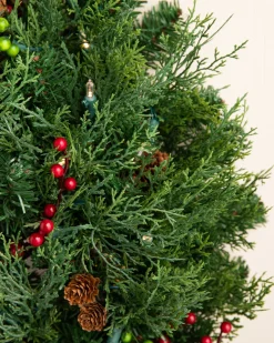 Outdoor Beacon Hill Cypress Foliage
