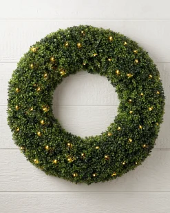 Outdoor Boxwood Foliage