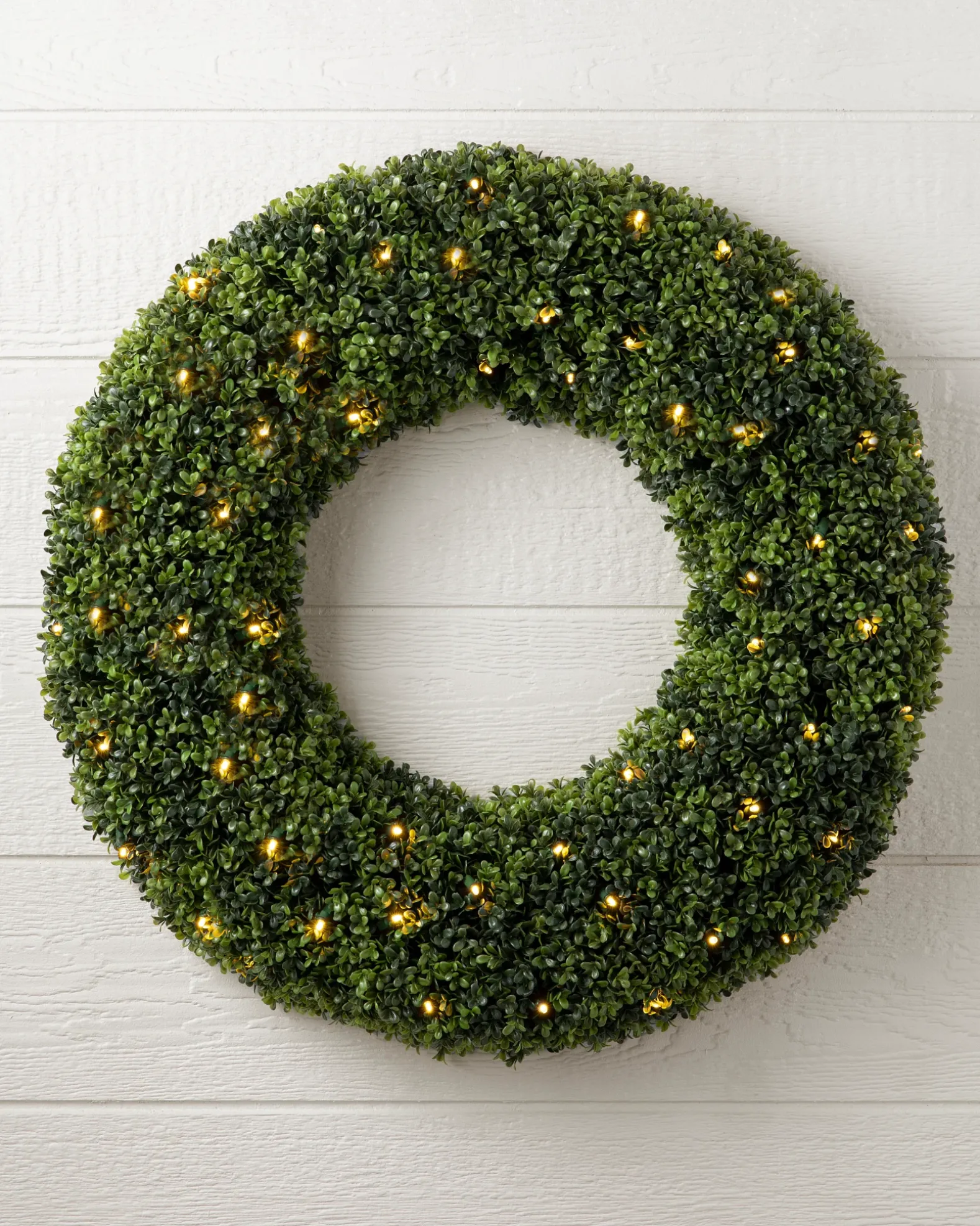 Outdoor Boxwood Foliage