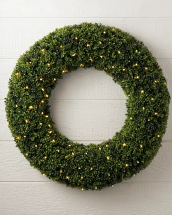 Outdoor Boxwood Foliage