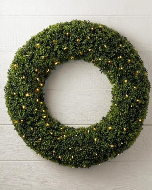 Outdoor Boxwood Foliage