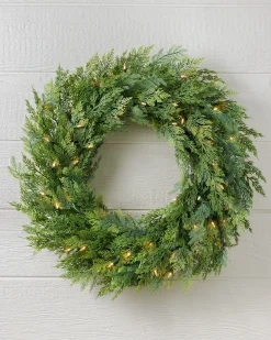 Outdoor Cedar Woods Foliage