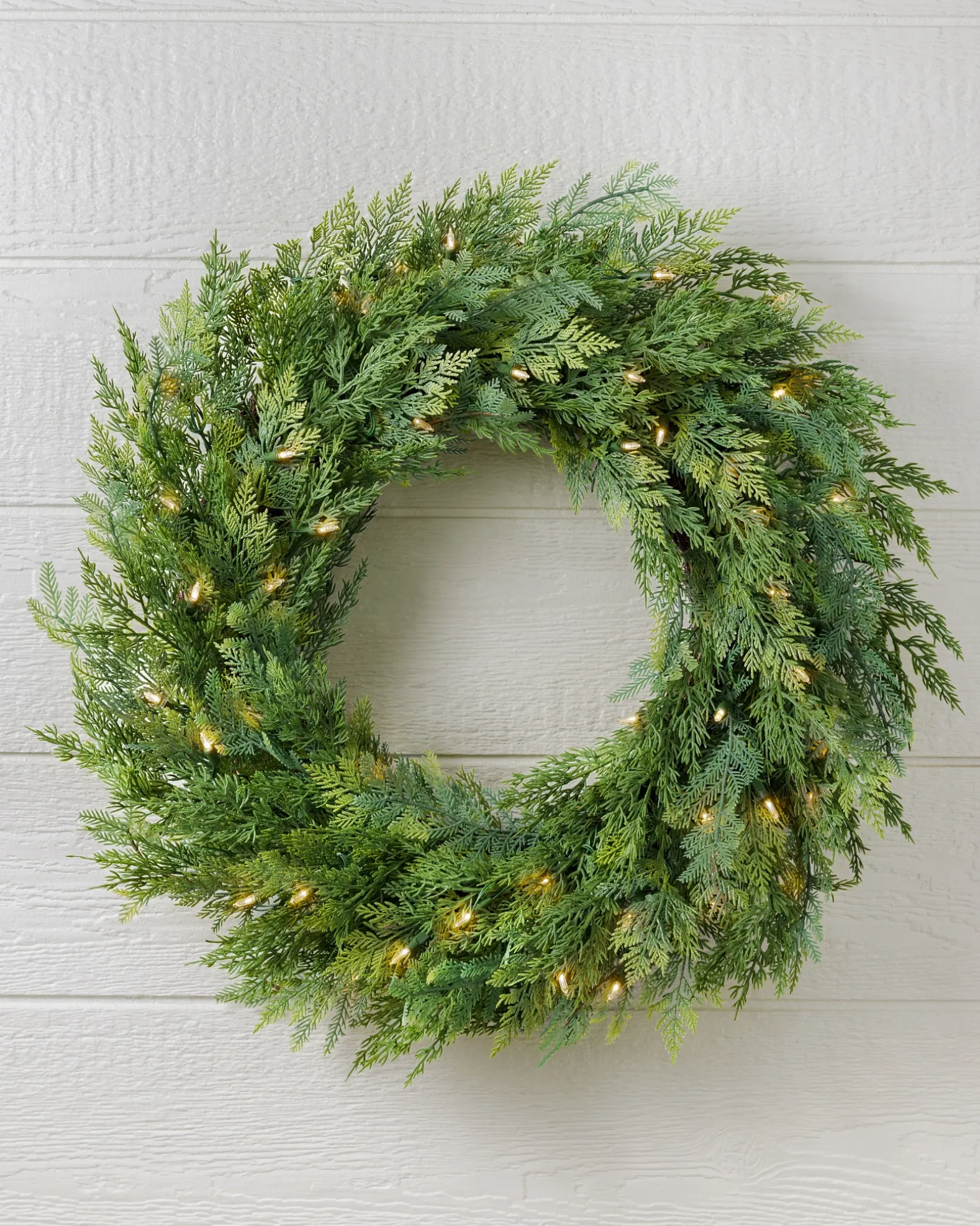 Outdoor Cedar Woods Foliage