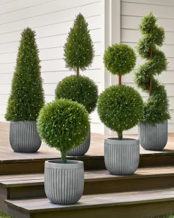 Outdoor Cypress Artificial Christmas Topiaries