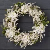 Outdoor Hydrangea Berry Foliage