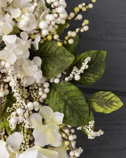 Outdoor Hydrangea Berry Foliage