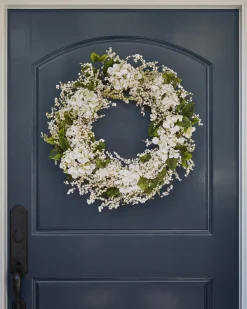 Outdoor Hydrangea Berry Foliage