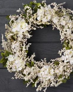Outdoor Hydrangea Berry Foliage