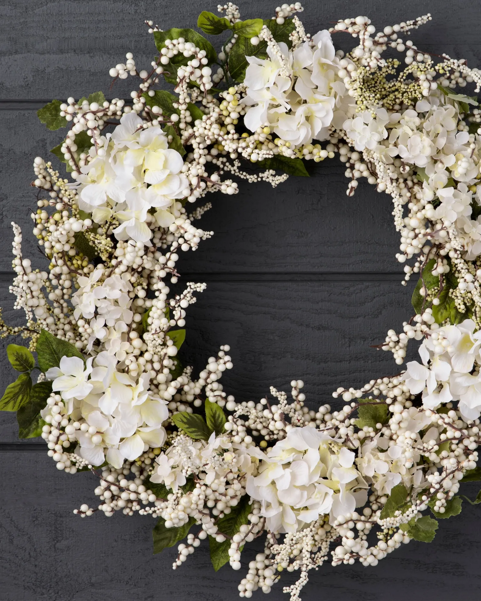 Outdoor Hydrangea Berry Foliage