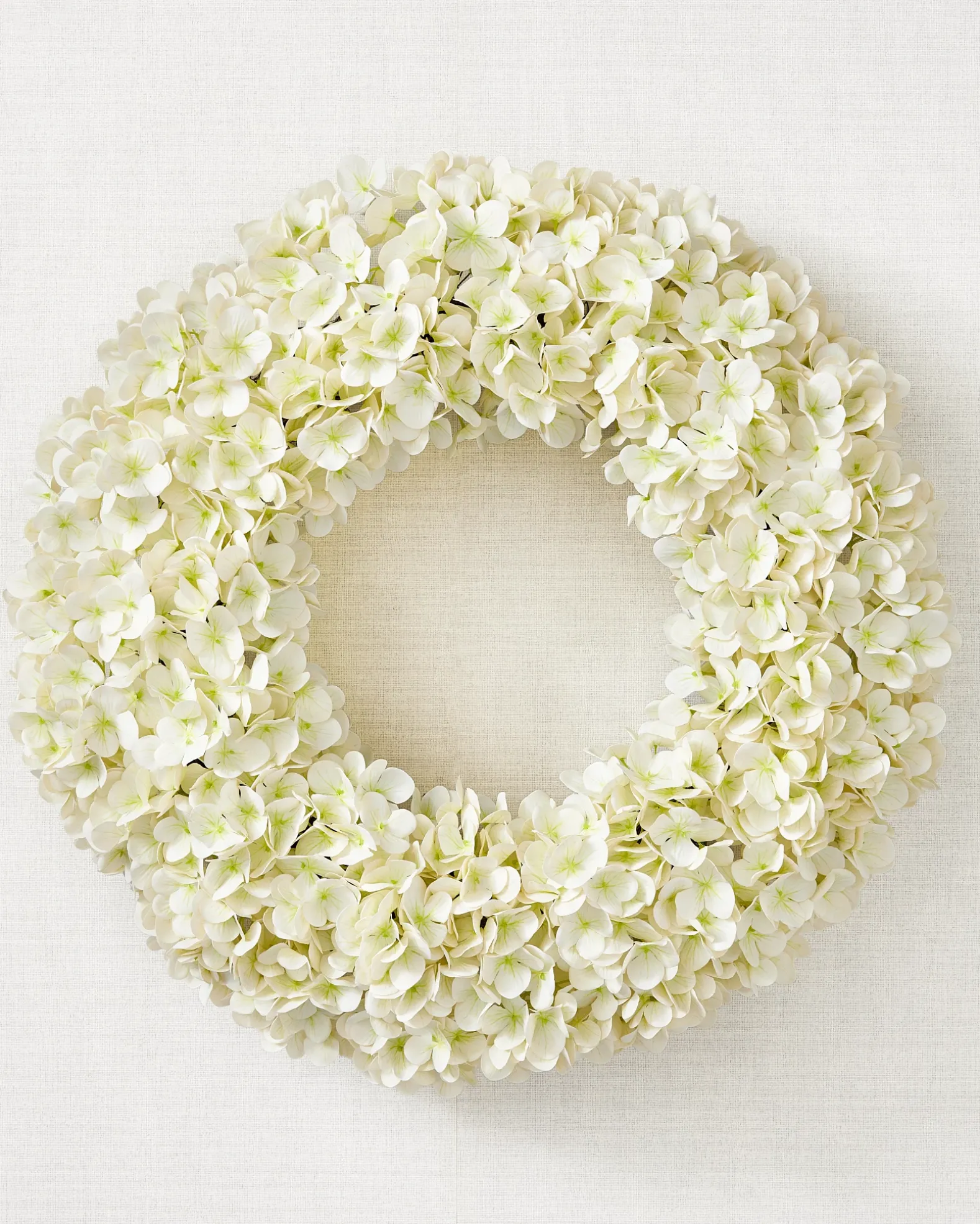 Outdoor Hydrangea Harmony Foliage