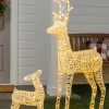 Outdoor Lit LED Wintry Wonder Friends