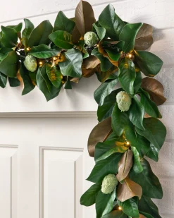Outdoor Magnolia Leaves Foliage