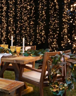 Outdoor Magnolia Leaves Foliage