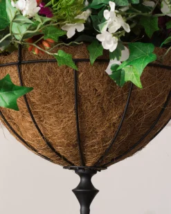 Outdoor Meadow Foliage