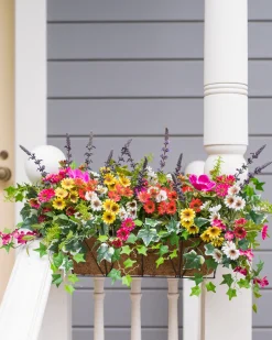Outdoor Meadow Foliage