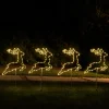 Outdoor North Pole Express Pathway Light Sets