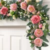 Outdoor Provence Rose Foliage