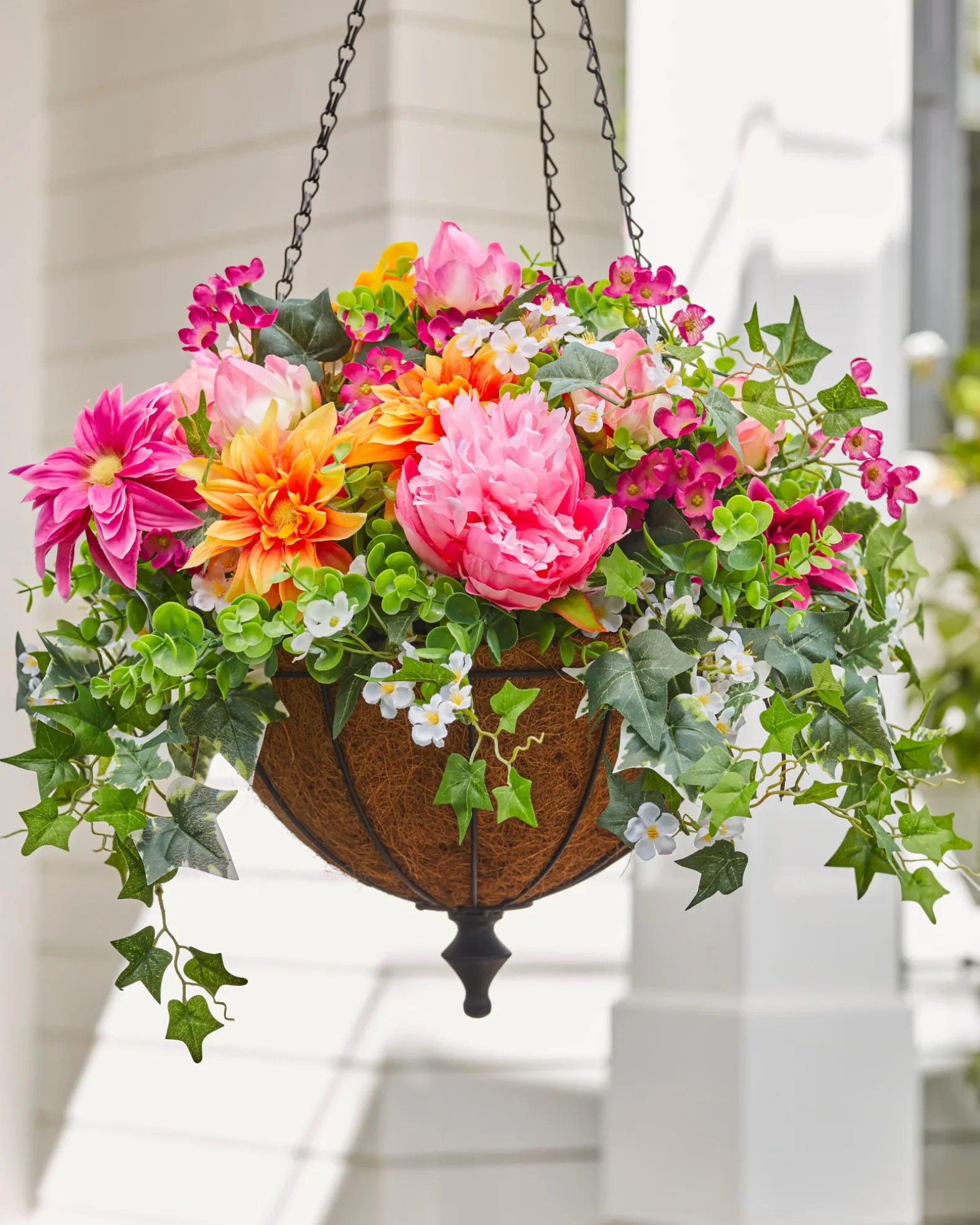 Outdoor Radiant Peony Foliage