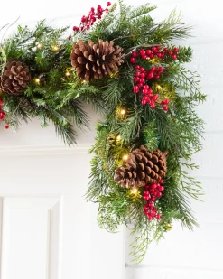 Outdoor Red Berry Pine Foliage