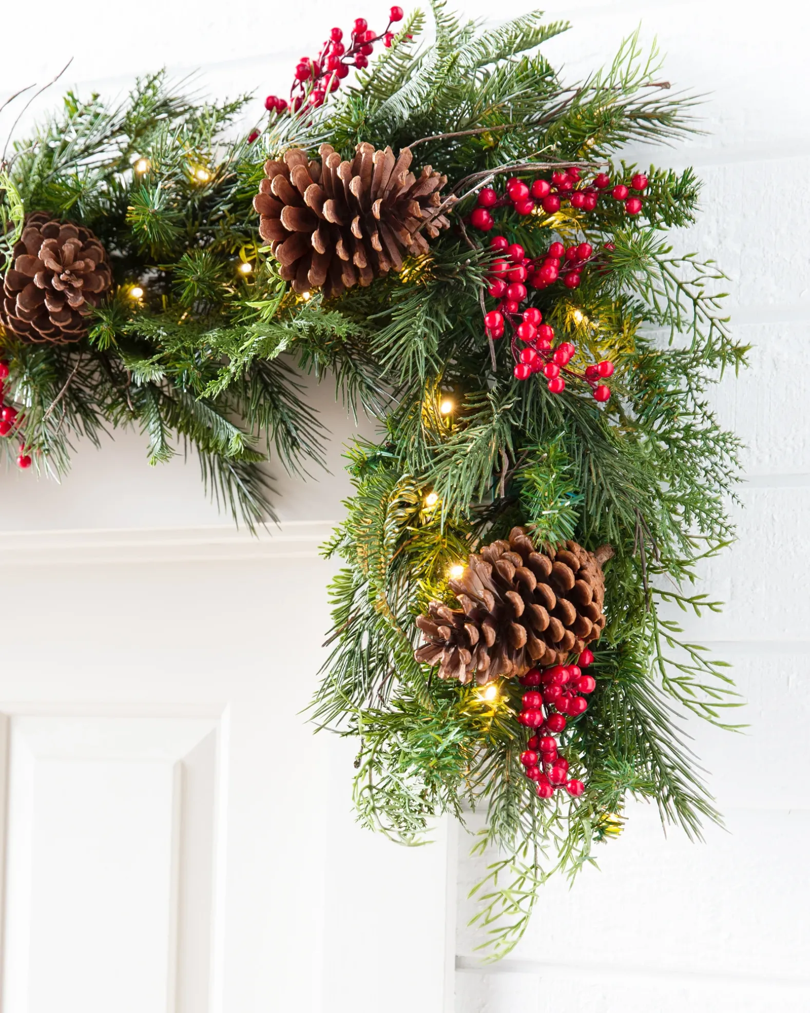 Outdoor Red Berry Pine Foliage