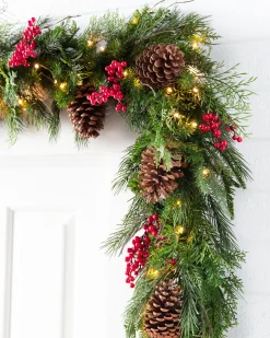 Outdoor Red Berry Pine Foliage