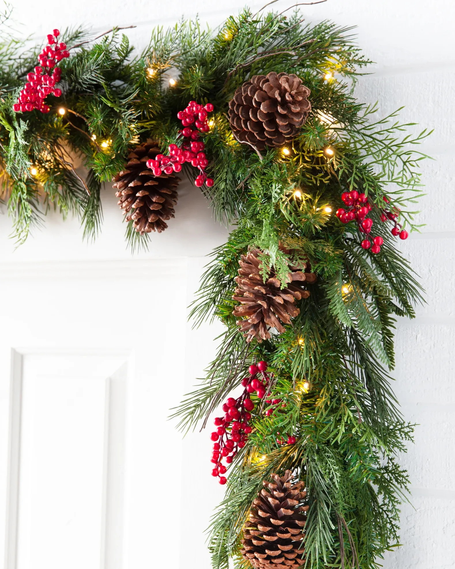 Outdoor Red Berry Pine Foliage