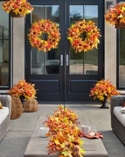 Outdoor Sunburst Mums Foliage