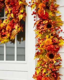 Outdoor Sunburst Mums Foliage