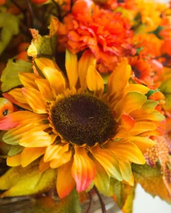Outdoor Sunburst Mums Foliage