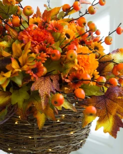 Outdoor Sunburst Mums Foliage