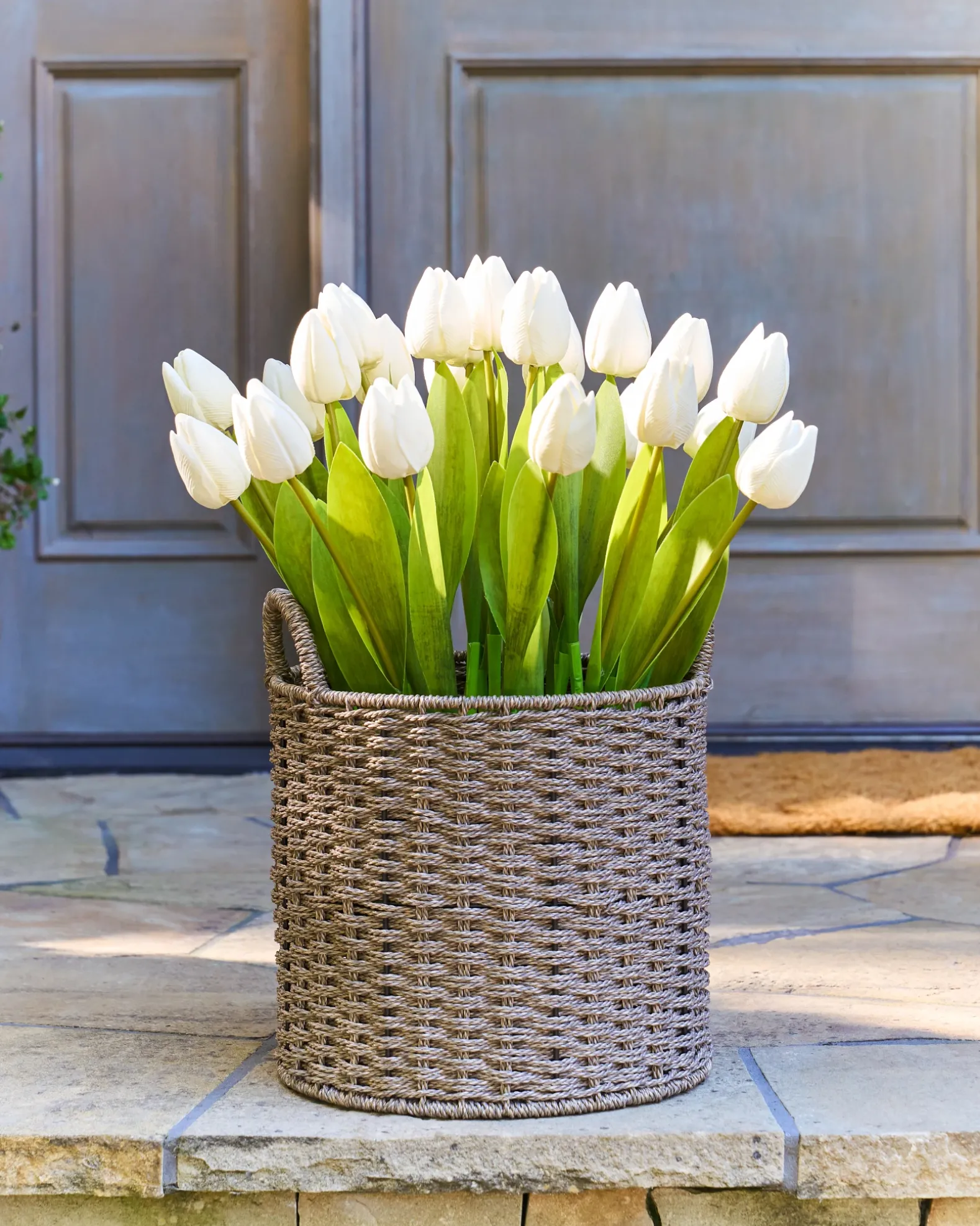 Outdoor Tulip Garden Foliage