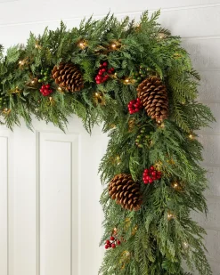 Outdoor Winter Evergreen Foliage