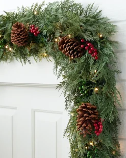 Outdoor Winter Evergreen Foliage