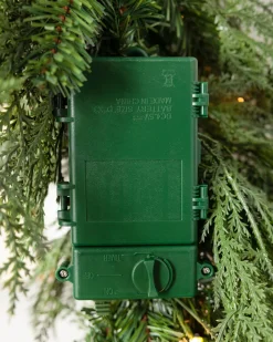 Outdoor Winter Evergreen Foliage