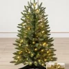 Poconos Pine Mini Trees