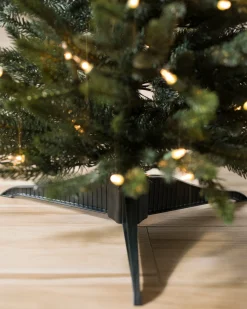 Poconos Pine Mini Trees
