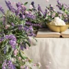 Provencal Lavender Foliage