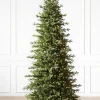 Red Spruce Trees