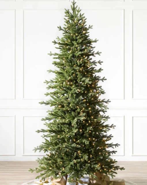 Red Spruce Trees
