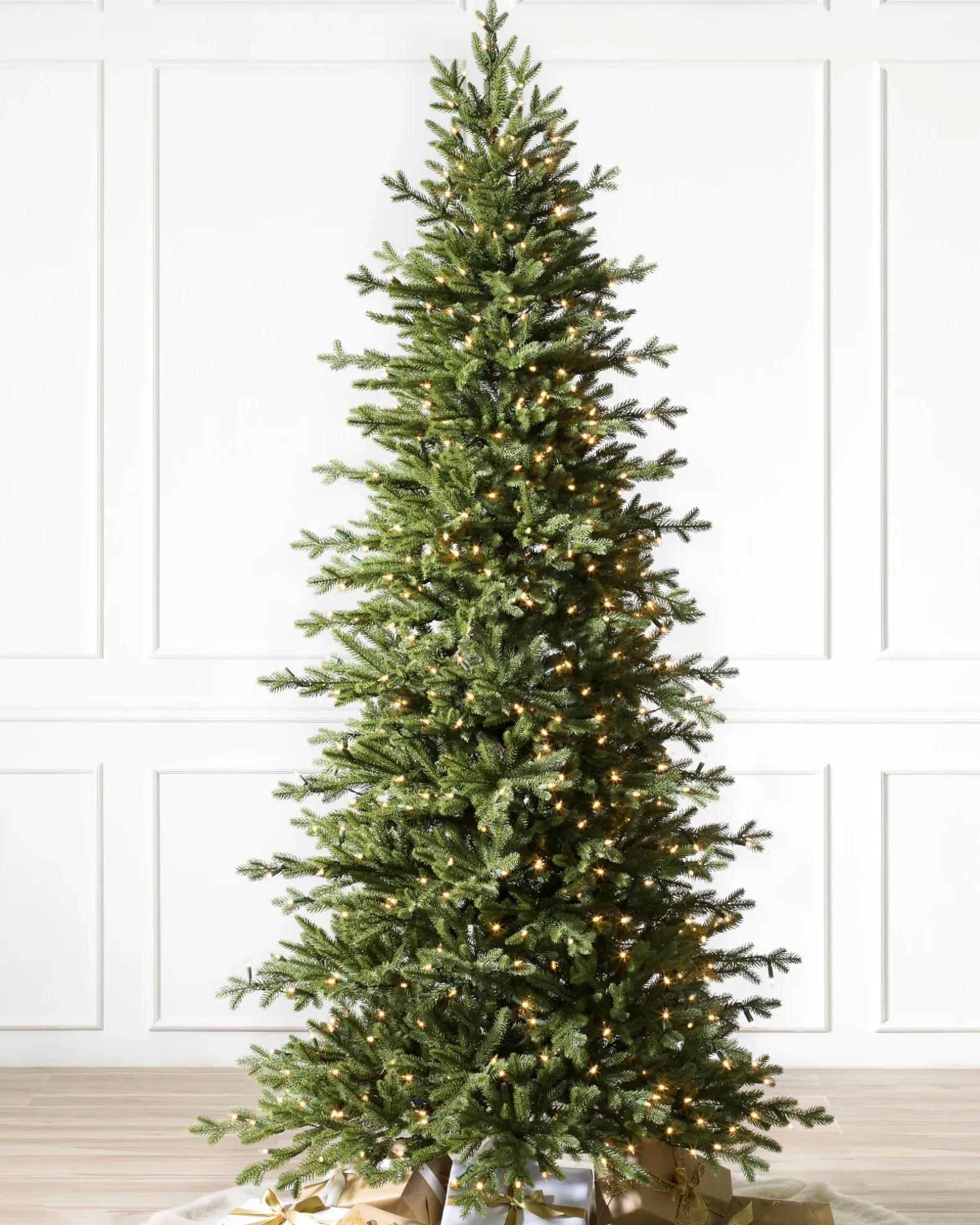 Red Spruce Trees