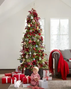 Red Spruce Trees