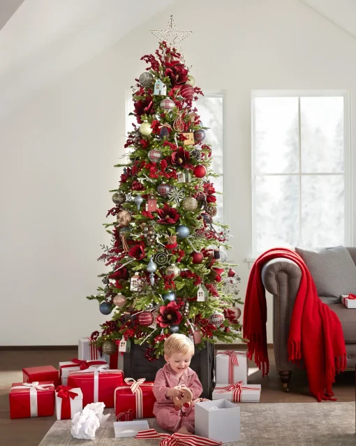 Red Spruce Trees