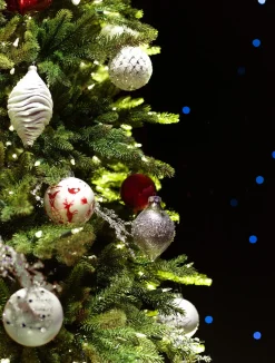 Red Spruce Trees