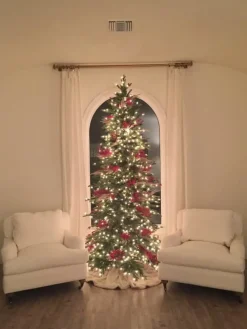 Red Spruce Trees