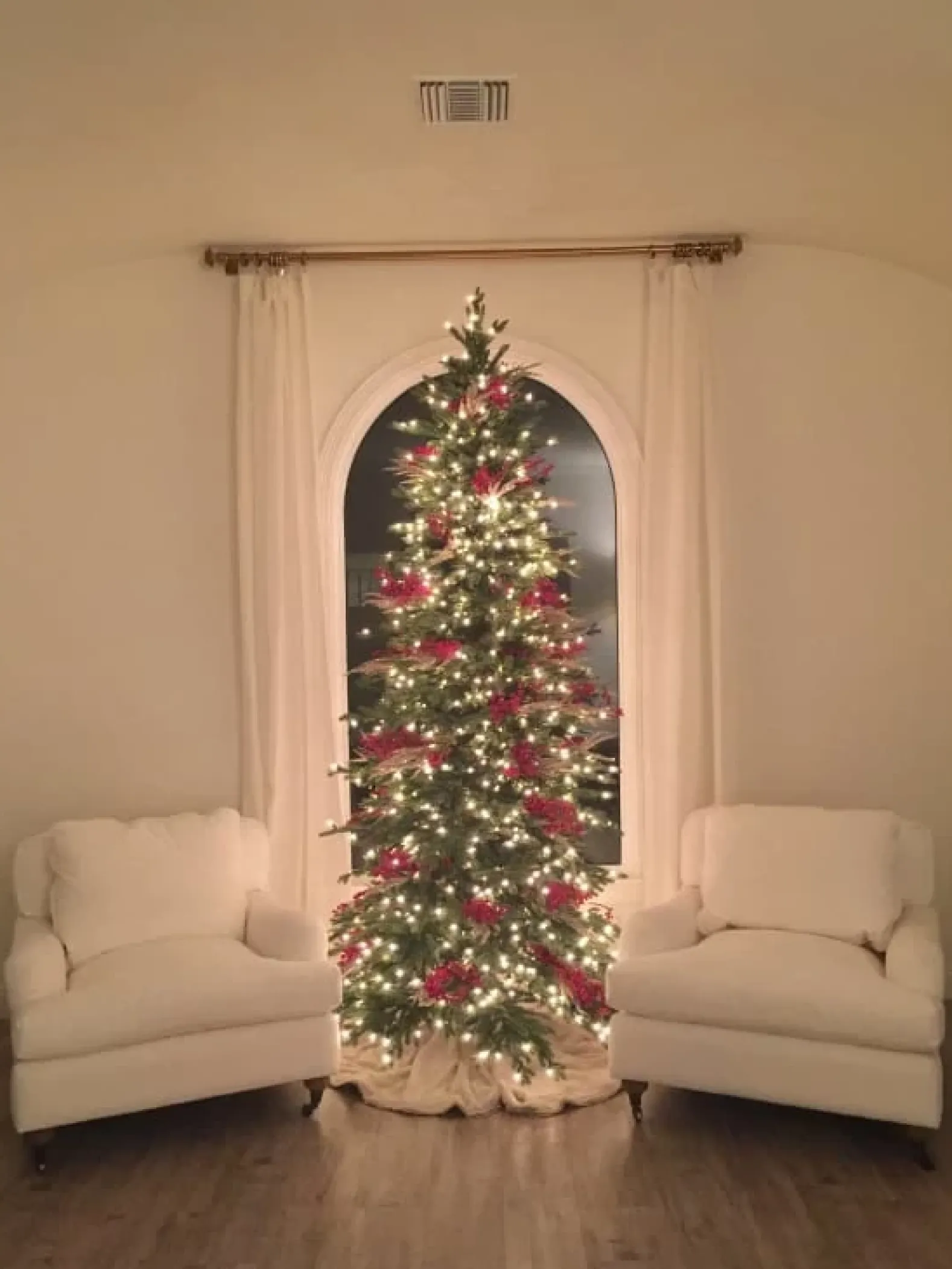 Red Spruce Trees