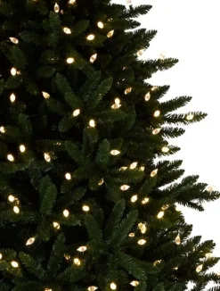 Rockefeller Pine Trees